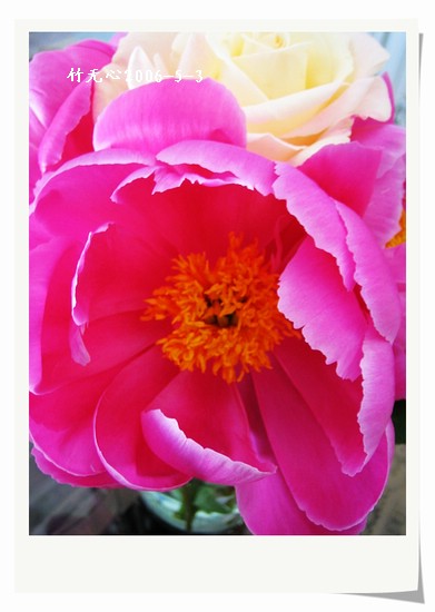 ����ҵ��¼�����ҩ