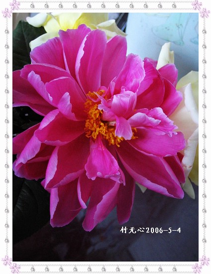 ����ҵ��¼�����ҩ