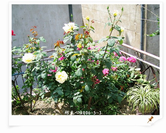 ����ҵ��¼�����ҩ