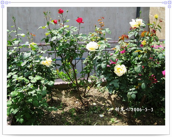 ����ҵ��¼�����ҩ