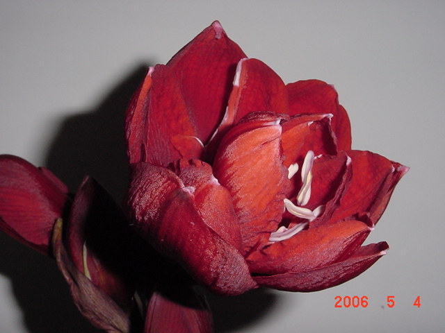 ����СԺ����P12 ���ٺ�����