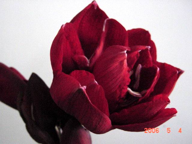 ����СԺ����P12 ���ٺ�����