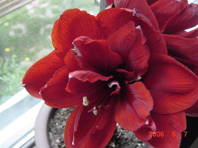 ����СԺ����P12 ���ٺ�����