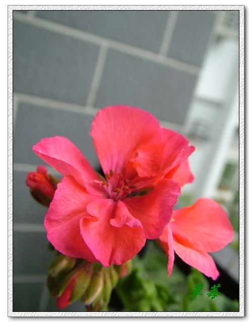 [ԭ��]���û���