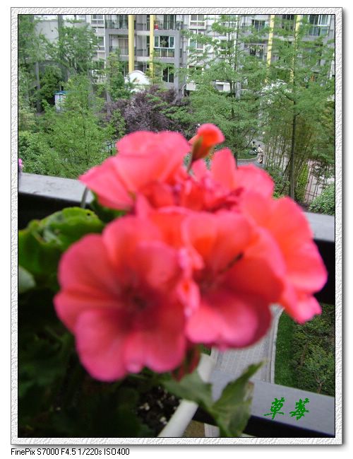 [ԭ��]���û���