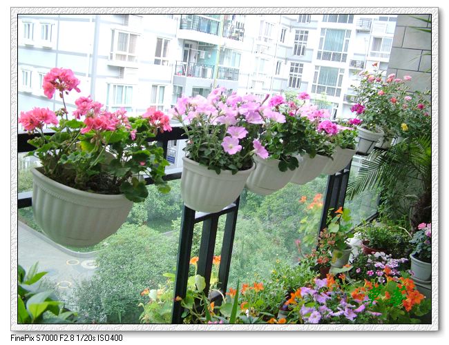 [ԭ��]���û���