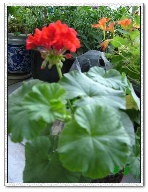 [ԭ��]���û���