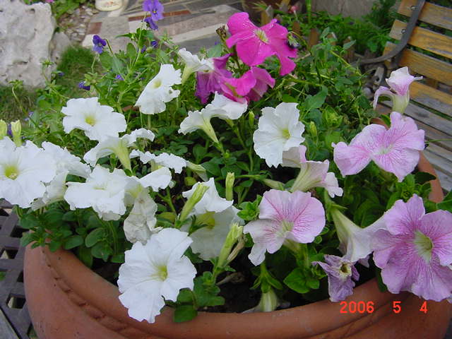 ����СԺ����P12 ���ٺ�����