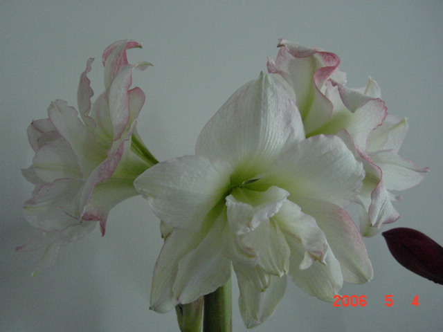 ����СԺ����P12 ���ٺ�����