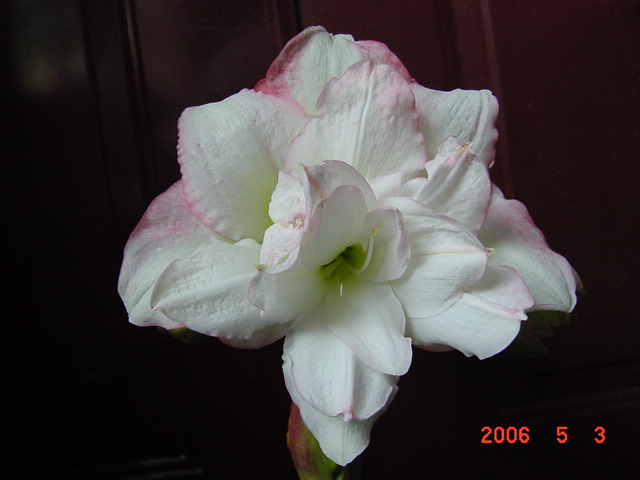 ����СԺ����P12 ���ٺ�����