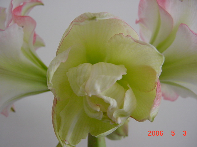 ����СԺ����P12 ���ٺ�����