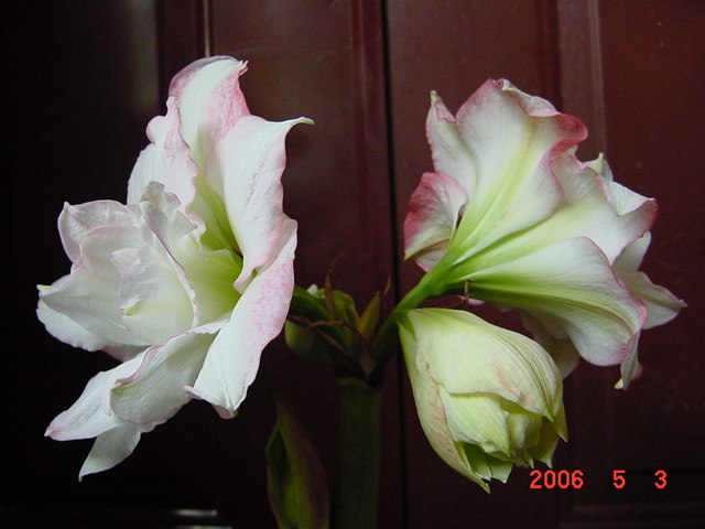 ����СԺ����P12 ���ٺ�����