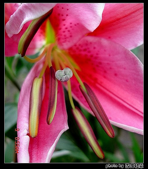 �Ұٺ�Ҳ�д��졭����������ʼ��