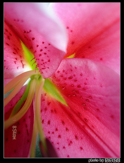 �Ұٺ�Ҳ�д��졭����������ʼ��