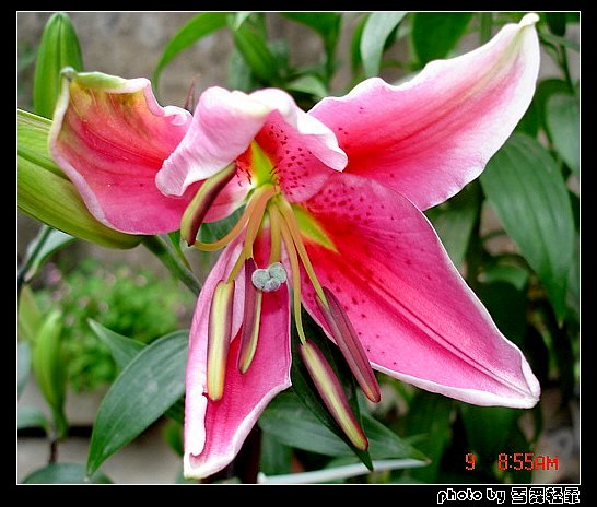 �Ұٺ�Ҳ�д��졭����������ʼ��