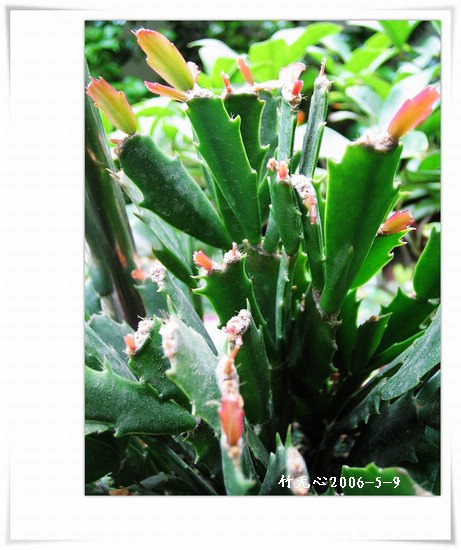 зצ����ing�����Һ졣���ۡ���