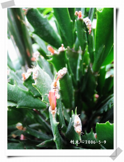 зצ����ing�����Һ졣���ۡ���