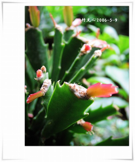 зצ����ing�����Һ졣���ۡ���