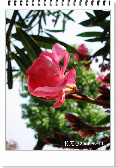 �컨������