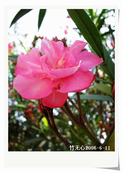 �컨������