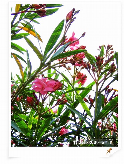 �컨������