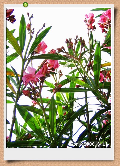 �컨������