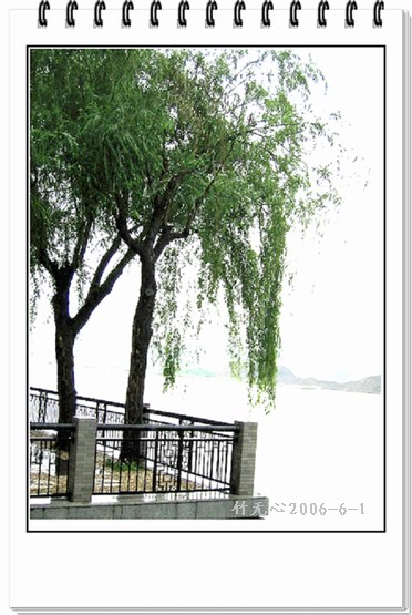 ʮ������