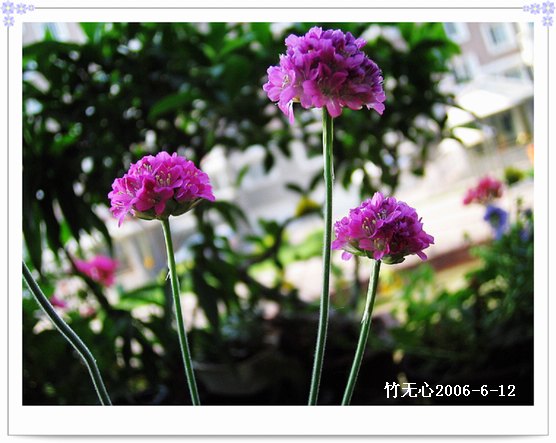 ��Щ�����ֿ��Ļ�...