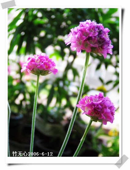 ��Щ�����ֿ��Ļ�...