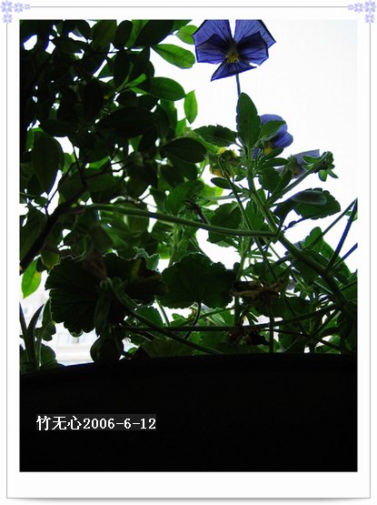 ��Щ�����ֿ��Ļ�...