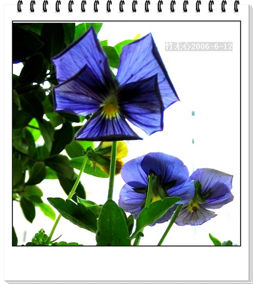 ��Щ�����ֿ��Ļ�...