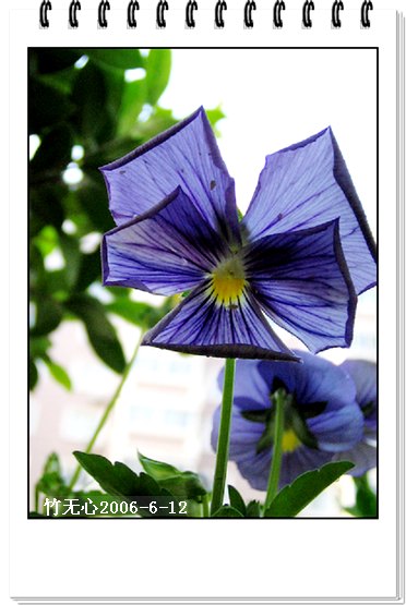 ��Щ�����ֿ��Ļ�...