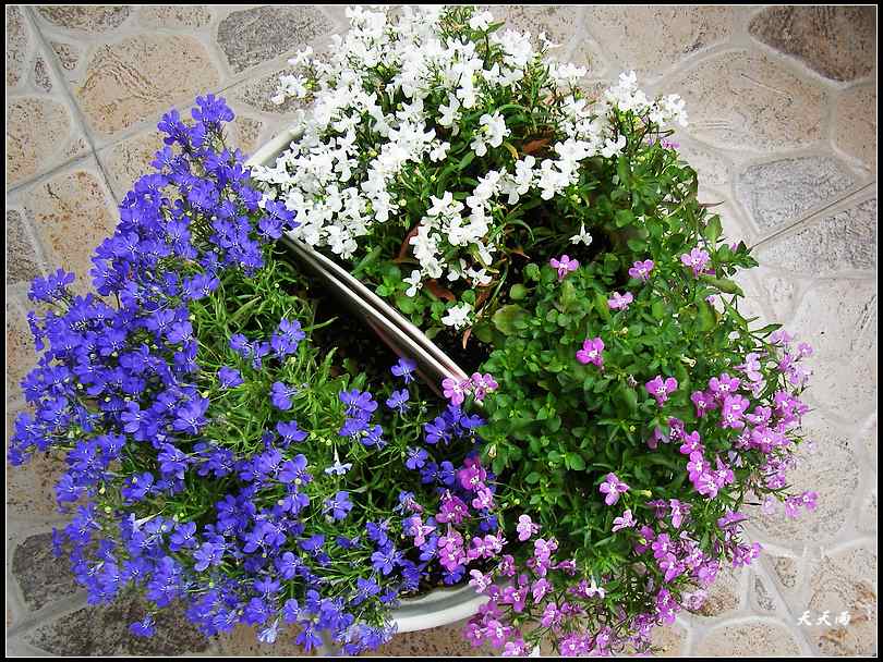 �Ź���ţ���������������5ҳ��