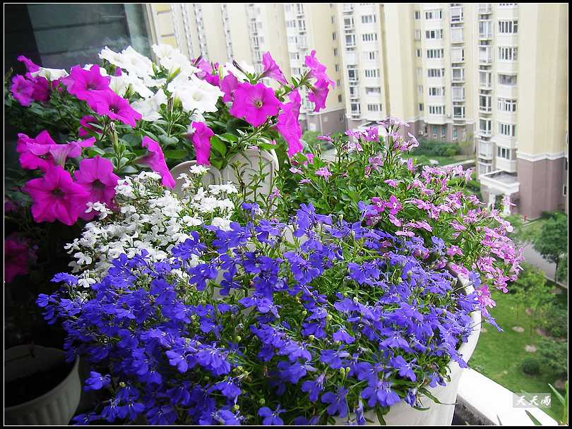 �Ź���ţ���������������5ҳ��