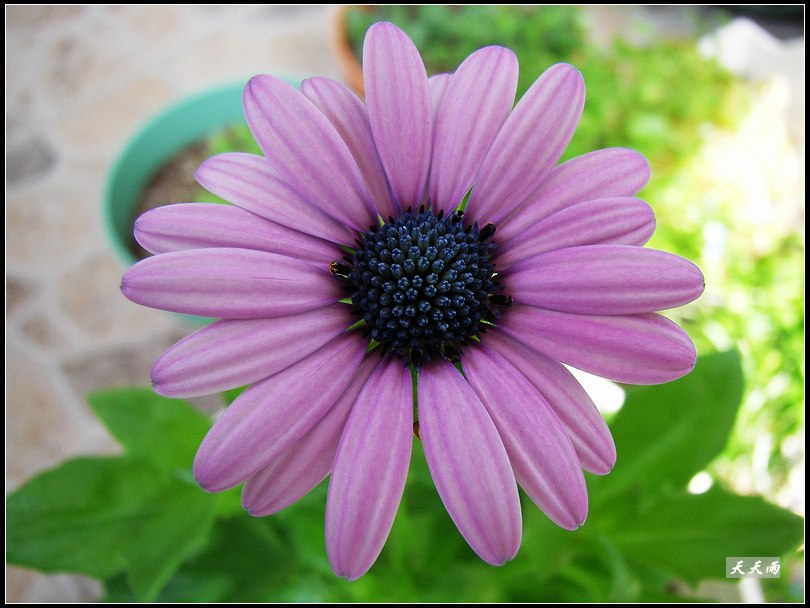 �Ź���ţ���������������5ҳ��