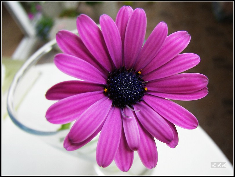 �Ź���ţ���������������5ҳ��