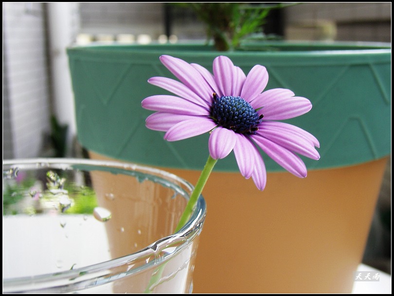 �Ź���ţ���������������5ҳ��