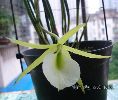 06�����������׿���У�