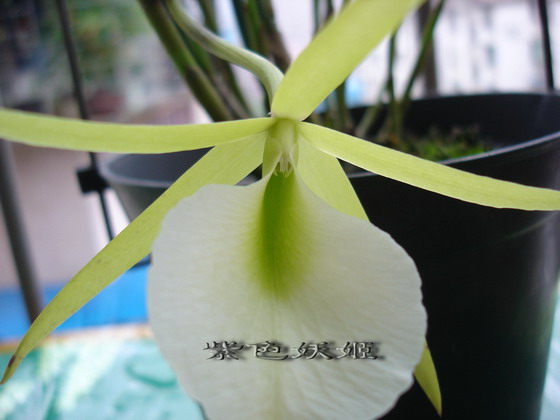 06�����������׿���У�