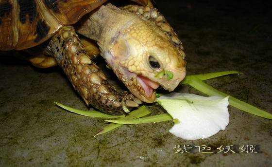 06�����������׿���У�