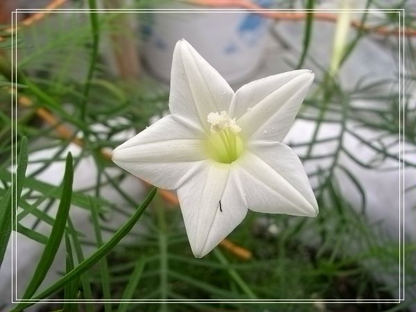 ���ܵ��¼�