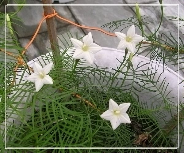 ���ܵ��¼�