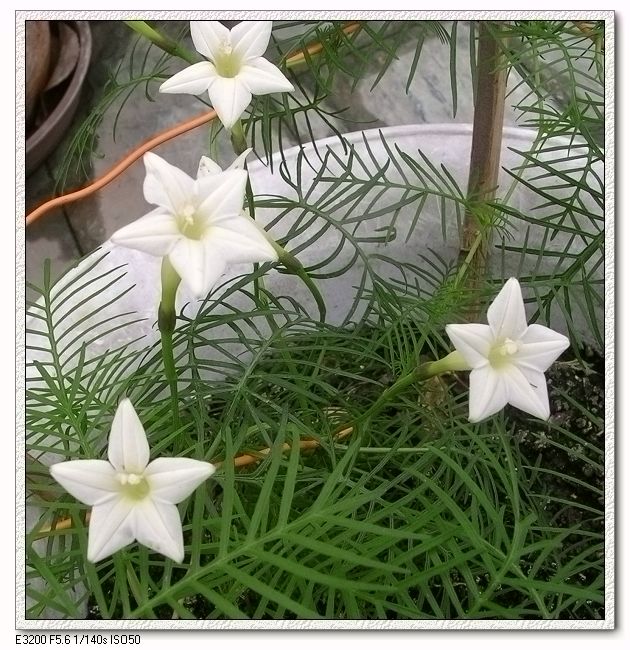 ���ܵ��¼�