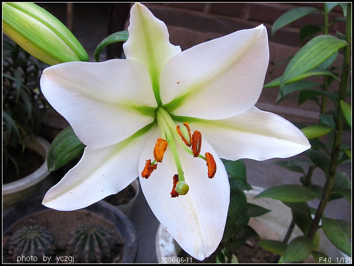 ����İٺϣ�~������PP��