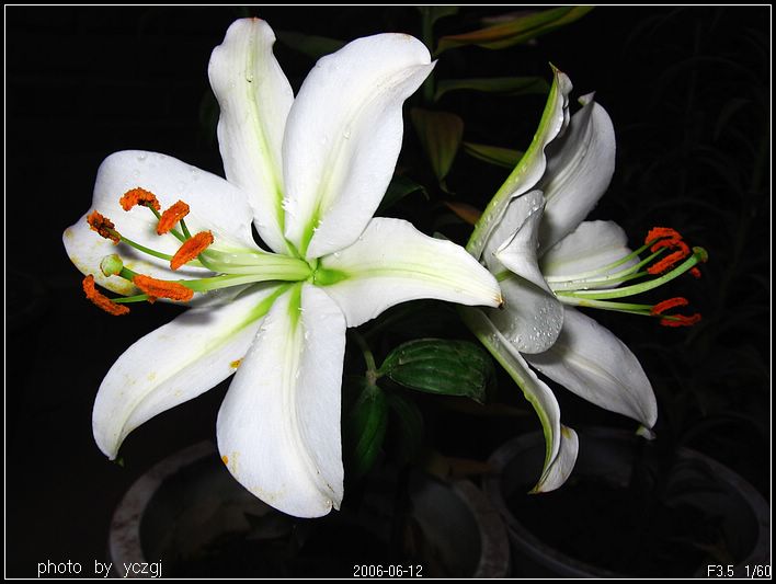 ����İٺϣ�~������PP��