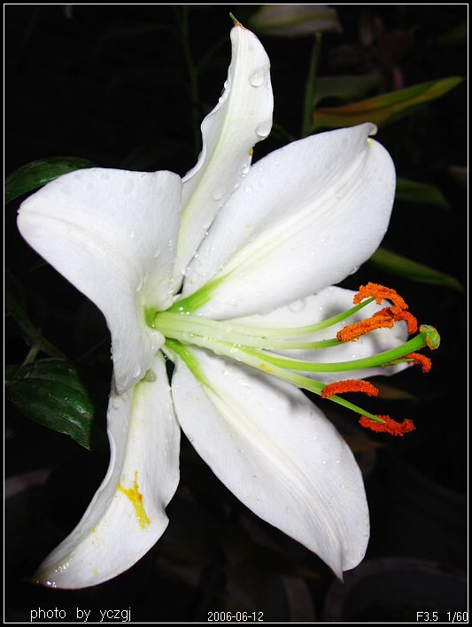 ����İٺϣ�~������PP��