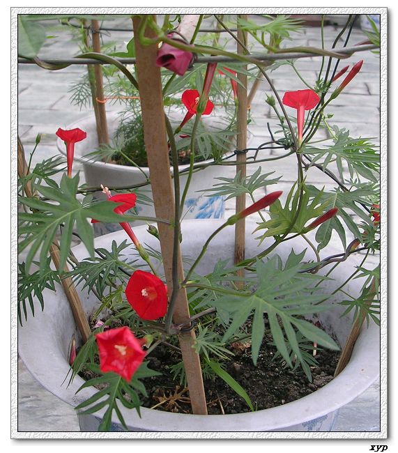 ���ܵ��¼�