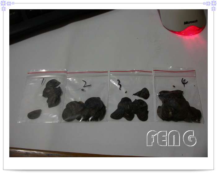 �춥��������ֲ��