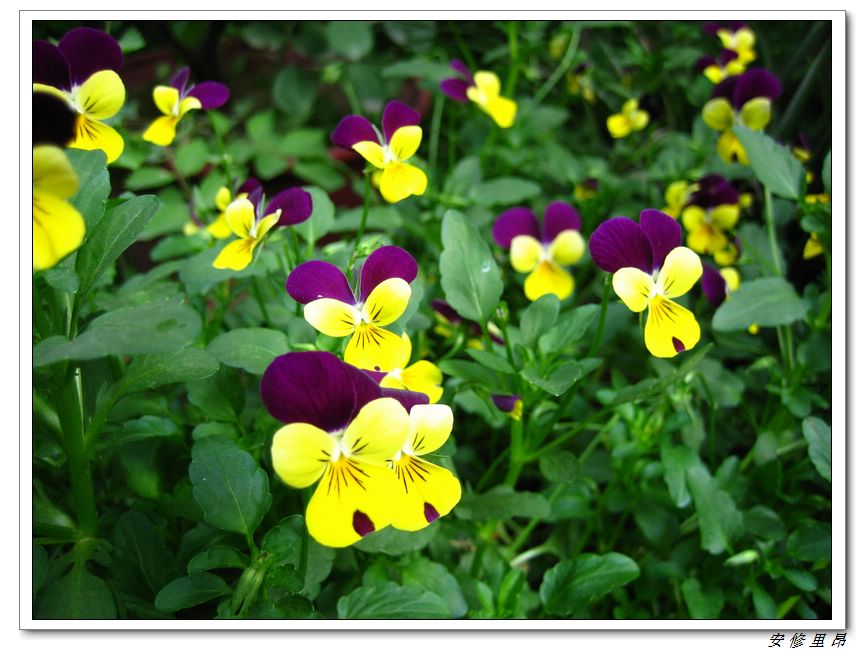 ��78�����̨