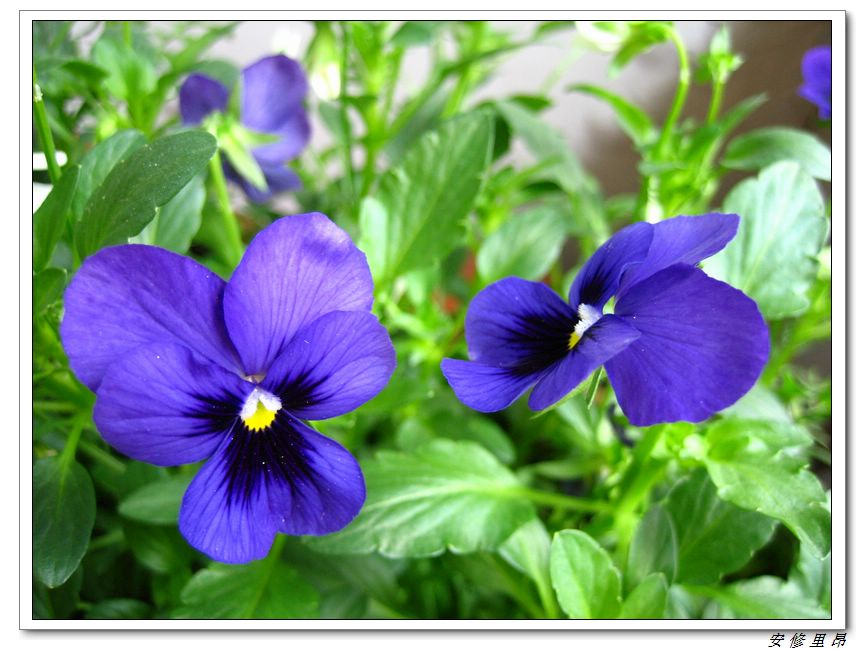 ��78�����̨